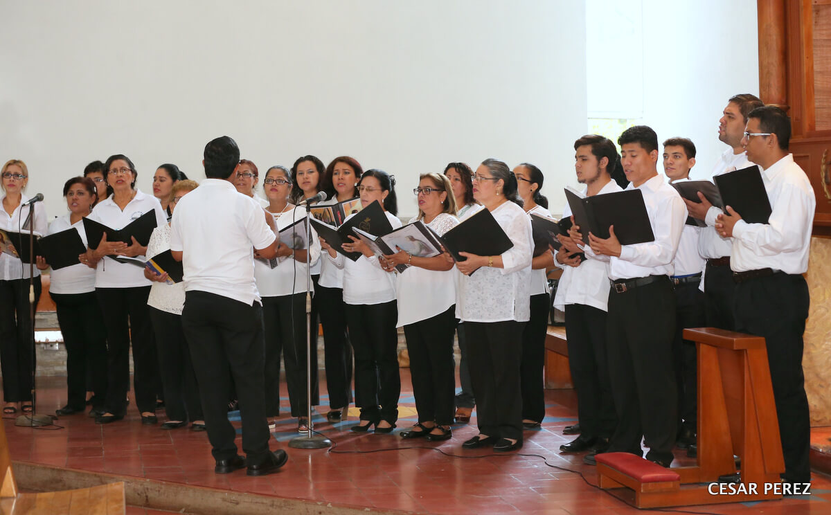 Cardenal1